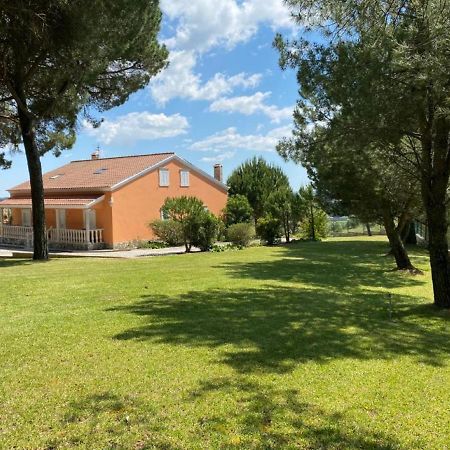 Quinta Do Alto Dos Pinheiros Villa São João da Ribeira Dış mekan fotoğraf