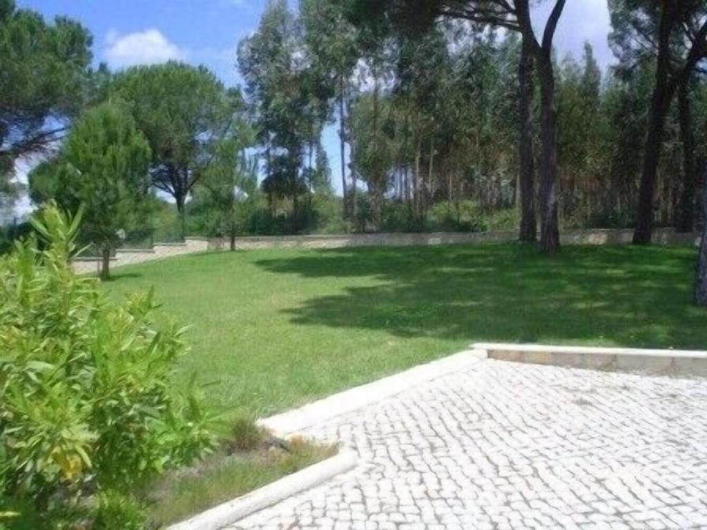 Quinta Do Alto Dos Pinheiros Villa São João da Ribeira Dış mekan fotoğraf