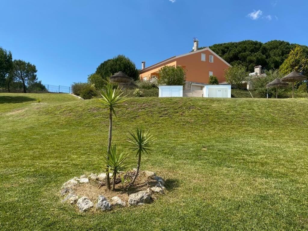 Quinta Do Alto Dos Pinheiros Villa São João da Ribeira Dış mekan fotoğraf