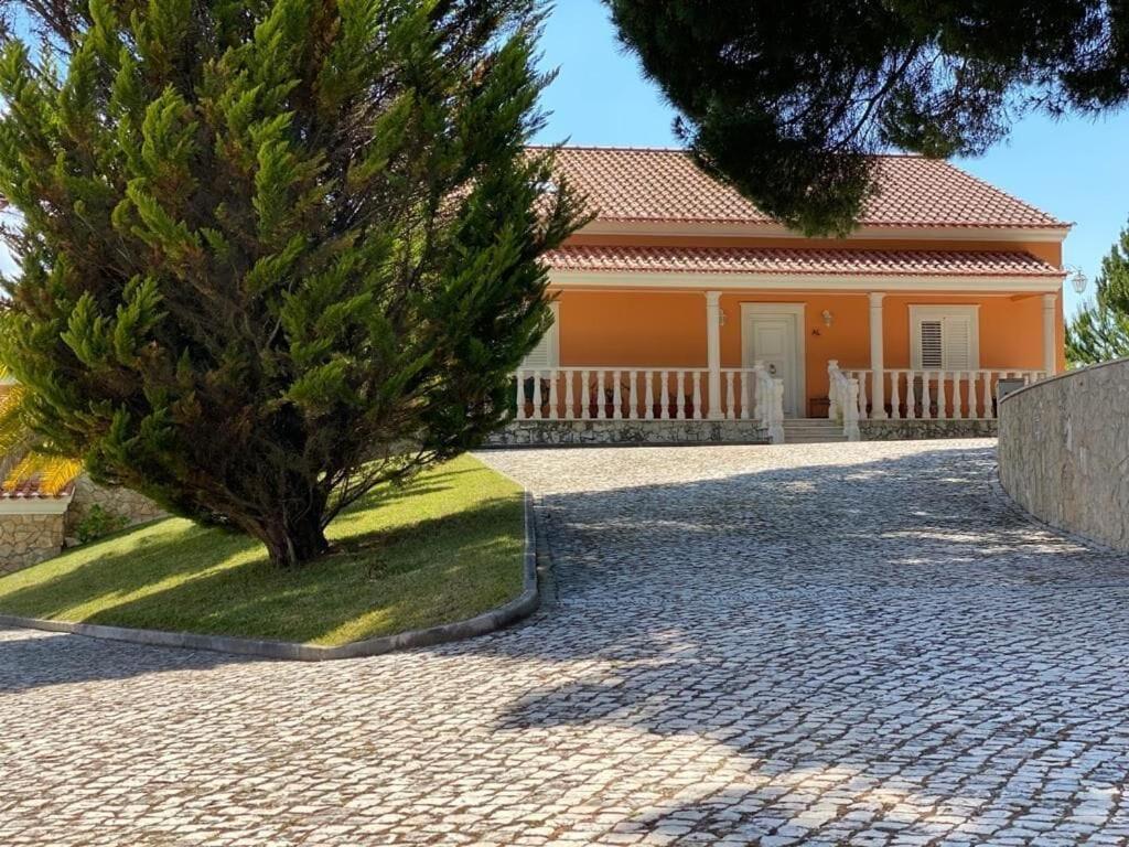 Quinta Do Alto Dos Pinheiros Villa São João da Ribeira Dış mekan fotoğraf